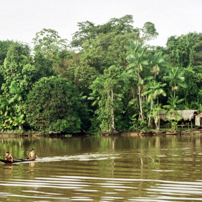 Alarm in Amazonien