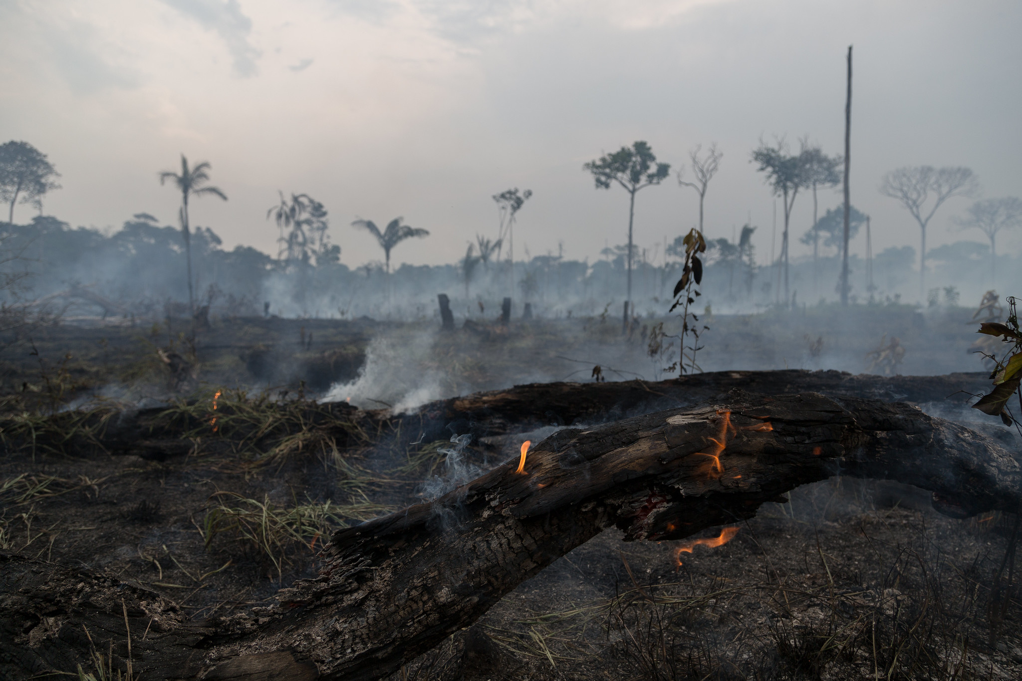 Rauch über Amazonien